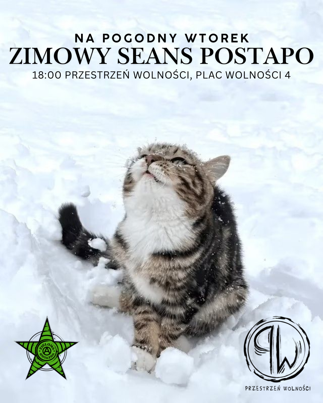 Zimowy seans postapo